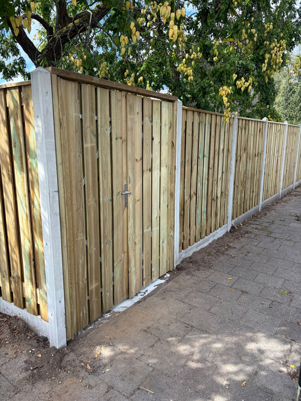 Nieuwe houten schutting met betonpalen langs een pad